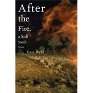 After the Fire, a Still Small Voice : A Novel