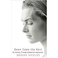 Down Came the Rain My Journey Through Postpartum Depression