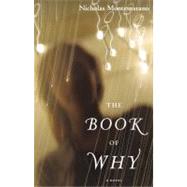 The Book of Why A Novel