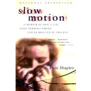 Slow Motion : A Memoir of How a Life Gone Terribly Wrong Can Be Rescued Through Tragedy