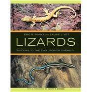 Lizards