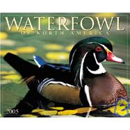 Waterfowl of North America 2005 Calendar