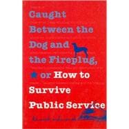 Caught Between the Dog and the Fireplug, Or, How to Survive Public Service