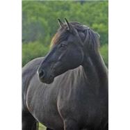 The Canadian Purebred Horse Journal