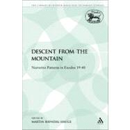 The Descent from the Mountain Narrative Patterns in Exodus 19-40