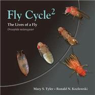 Fly cycle 2