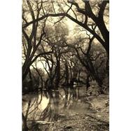 Beautiful Creek in a Small Mexican Town in Sepia