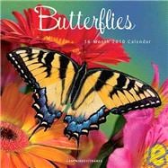 Butterflies 2010 Calendar