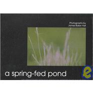 A Spring-Fed Pond