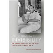 In the Shadow of Invisibility