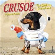 Crusoe the Celebrity Dachshund 2020 Calendar