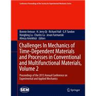 Challenges in Mechanics of Time-Dependent Materials and Processes in Conventional and Multifunctional Materials