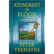 Atonement of Blood A Mystery of Ancient Ireland