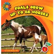 Foals Grow Up to Be Horses