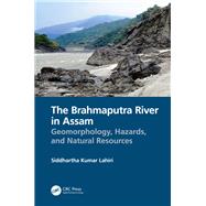 The Brahmaputra River in Assam
