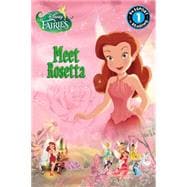 Disney Fairies: Meet Rosetta