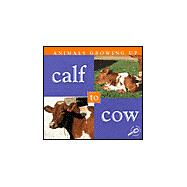 Calf to Cow : Six Pack Package with Teacher Notes