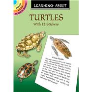 Learning about Turtles