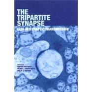 The Tripartite Synapse: Glia in Synaptic Transmission