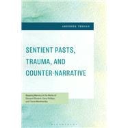 Sentient Pasts, Trauma, and Counter-Narrative book cover, ISBN 9798765188545