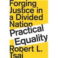 Practical Equality Forging Justice in a Divided Nation