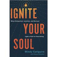 Ignite Your Soul book cover, ISBN 9781641588553