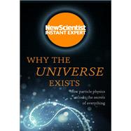 Why the Universe Exists