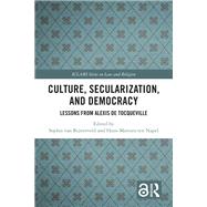 Culture, Secularization, and Democracy