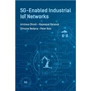 5G-Enabled Industrial IoT Networks