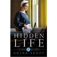 The Hidden Life An Amish Quilt Novel