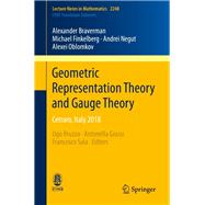 Geometric Representation Theory and Gauge Theory