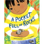 A Pocket Full of Rocks book cover, ISBN 9780593428559