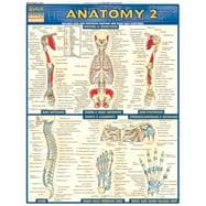 Anatomy 2