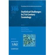 Statistical Challenges in 21st Century Cosmology