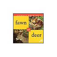 Fawn to Deer : Six Pack with Teacher Notes