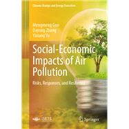 Social-Economic Impacts of Air Pollution