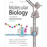 Molecular Biology Principles of Genome Function