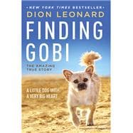 Finding Gobi