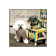 Bichon Frise Puppies 2002 Calendar