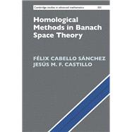 Homological Methods in Banach Space Theory