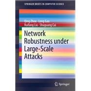 Network Robustness Under Large-scale Attacks