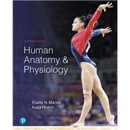 Human Anatomy & Physiology