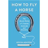 How to Fly a Horse