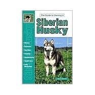 Guide to Owning a Siberian Husky