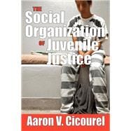The Social Organization of Juvenile Justice