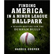 Finding America in a Minor League Ballpark
