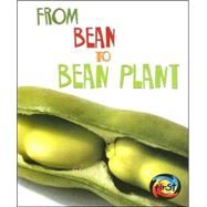 From Bean to Bean Plant