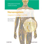 Organsysteme verstehen: Nervensystem