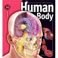 Human Body