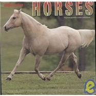 Horses 2009 Calendar